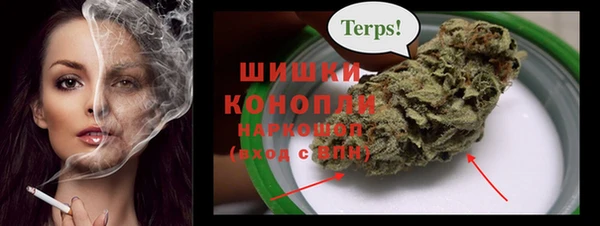 метадон Вяземский