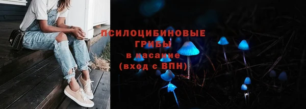 метадон Вяземский