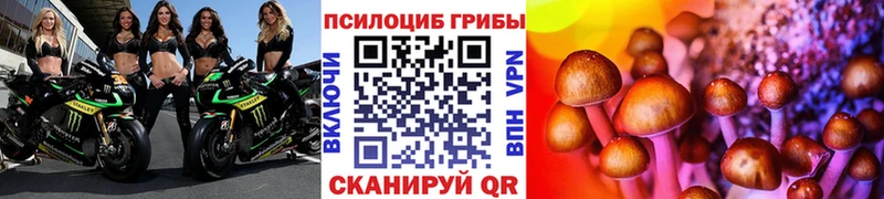 Псилоцибиновые грибы мухоморы  купить  сайты  Железногорск-Илимский 
